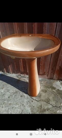 Раковина тюльпан