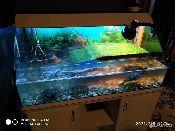 Обслуживание аквариумов