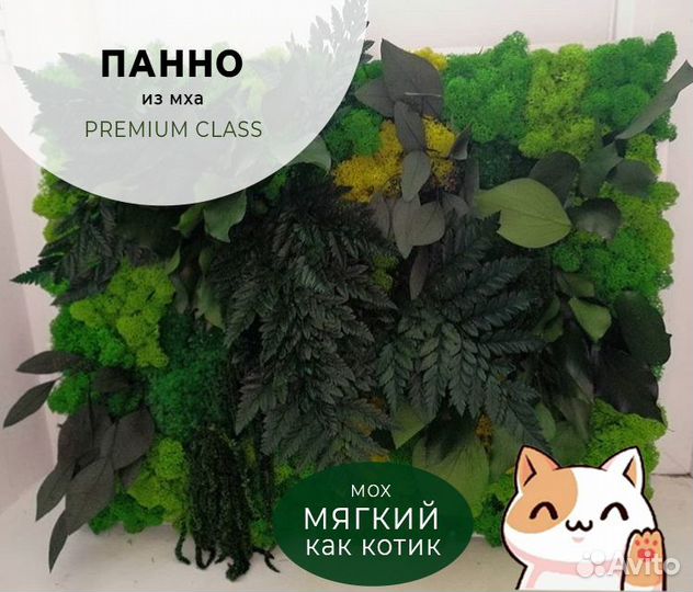 Панно из мха 50 см
