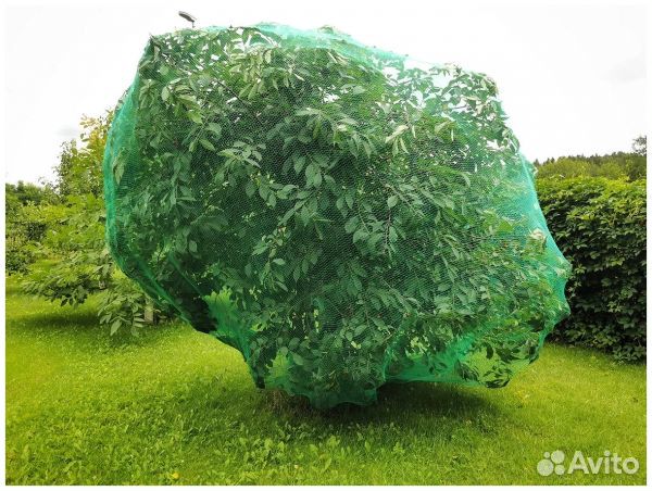 Сетка для сада от птиц