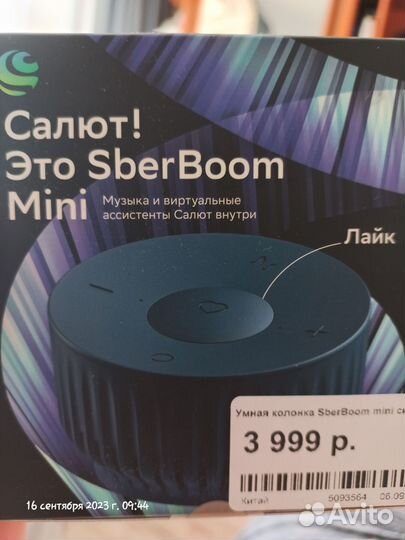Sberboom mini