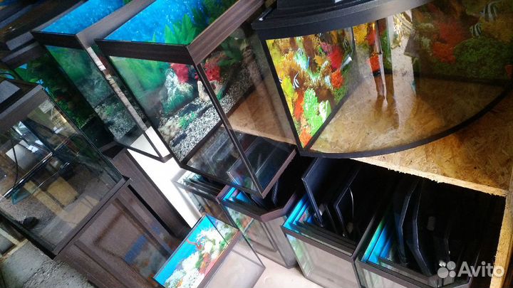 Аквариумы и террариумы от производителя