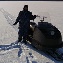 Буран живой