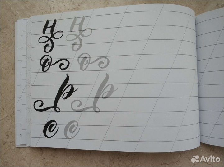 Каллиграфия кистью. Прописи кириллицей. Суворова А