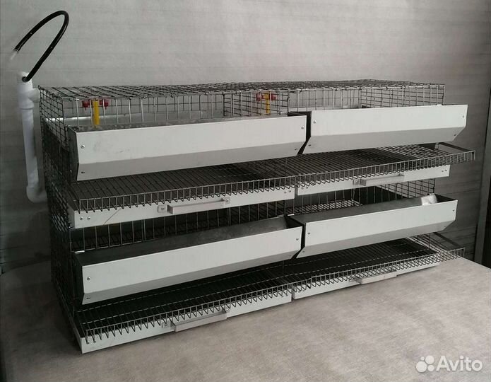 Клетки для перепелов