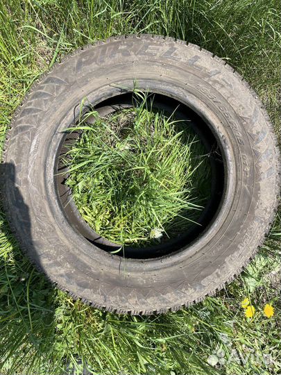 Pirelli Winter Carving Edge 195/65 R15 91T