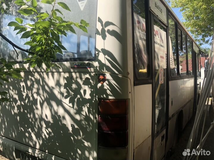 Городской автобус ПАЗ 3204, 2013