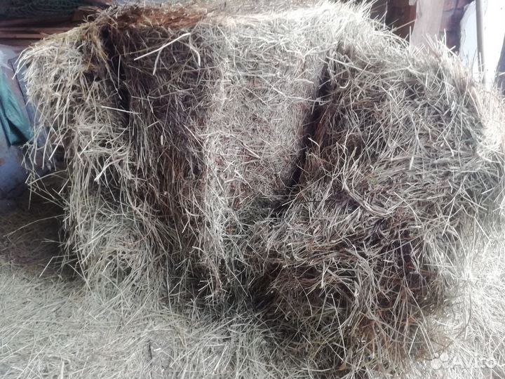 Сено в тюках