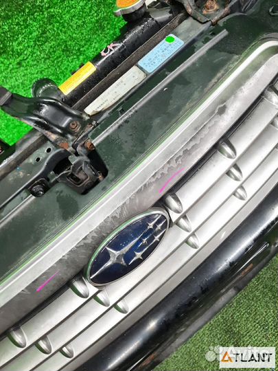 Ноускат subaru outback