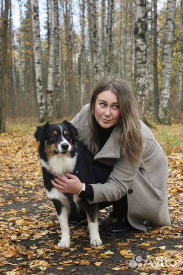 Специалист по поведению собак. Ноузворк