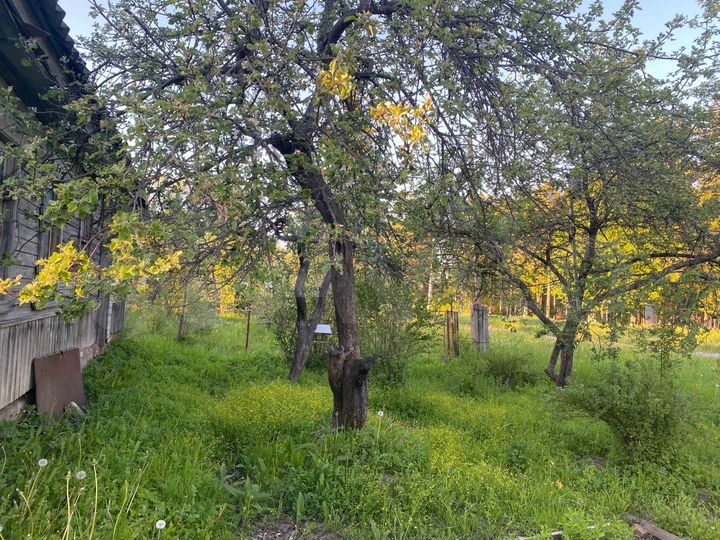 Участок 25 сот. (ИЖС)