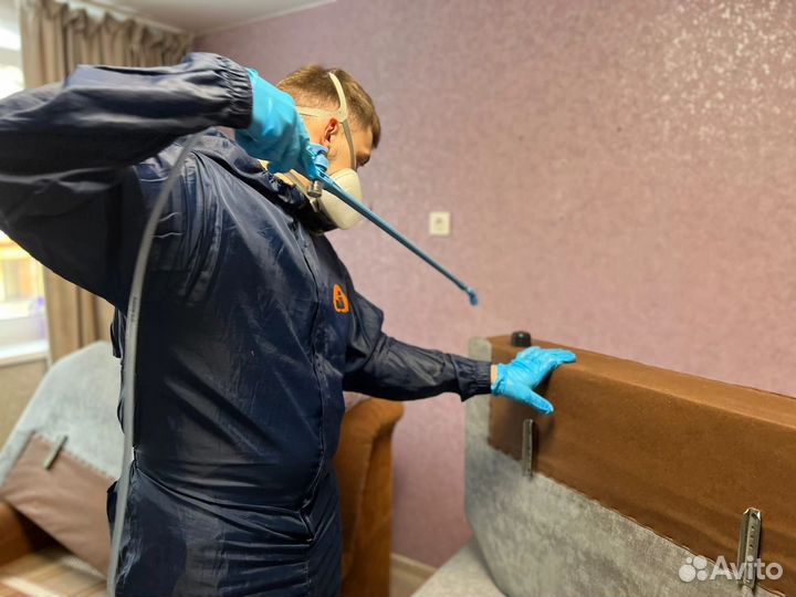 Уничтожение клопов тараканов насекомых