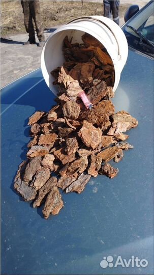 Кора сосновая