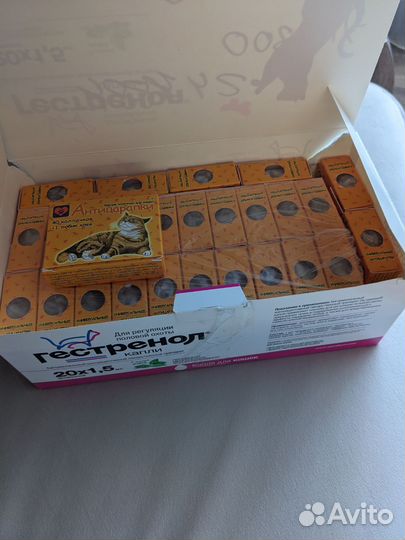 Антицарапки, колпачки на когти