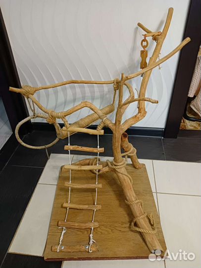 Дерево присада для попугаев