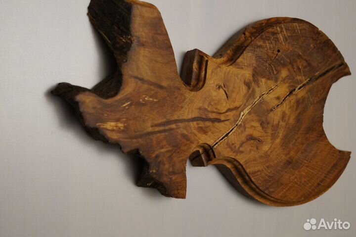 Коллекция медальонов корневых