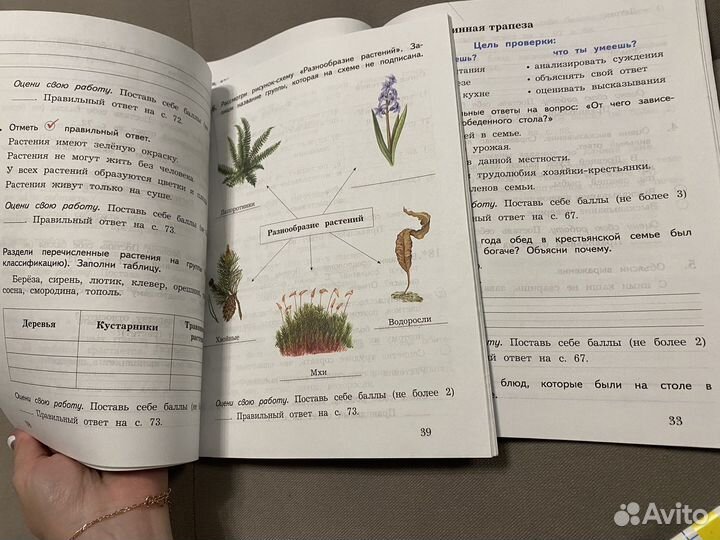 Виноградова Тетрадь для провер работ 3 кл окр мир