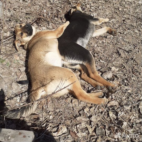 Гроза района