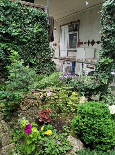 Комната 15 м² в > 9-к., 1/2 эт.