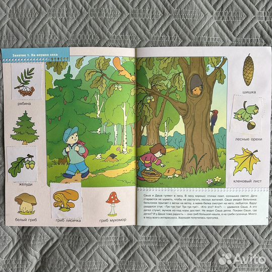 Школа семи гномов 2+ (9 книг)