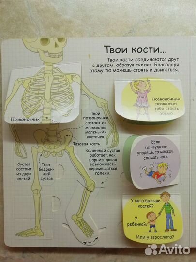 Секреты человека