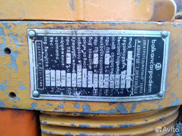 Тельфер болгарский