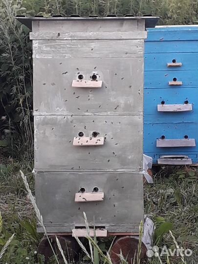 Мед со своей пасеки