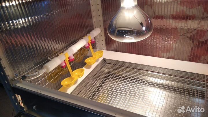 Клетки и брудеры для кур и перепелов