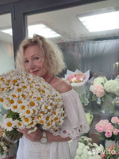 Цветы. Ромашка. Доставка цветов