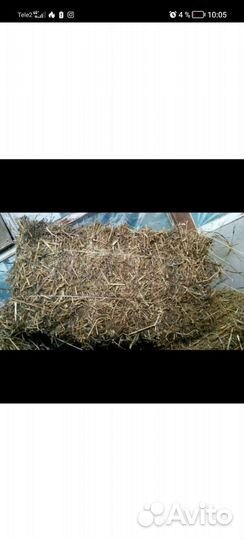 Гороховая солома