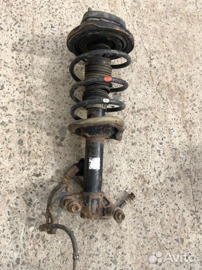 Амортизатор пружина передний левый Nissan Primera