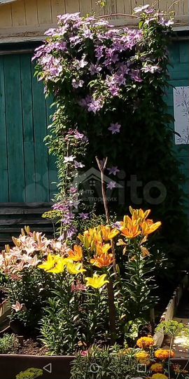 Дача 21,2 м² на участке 4,3 сот.