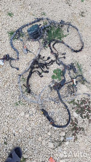 Проводка Hyundai accent коса двигателя автомат