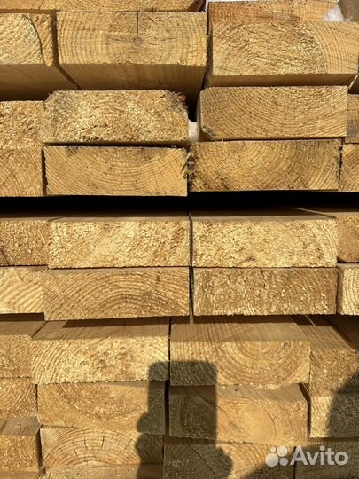 50х150х3м хвоя