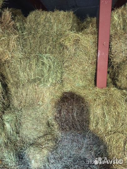 Зерно фуражное, 5 кг мешок в Анино