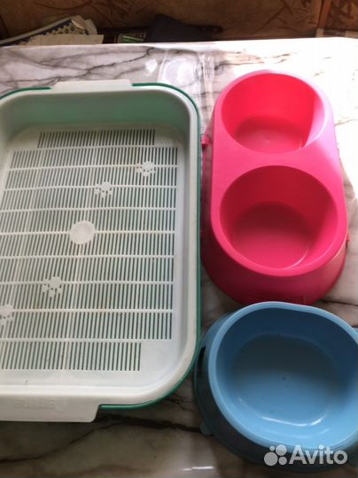 Лотки для кошки для кошки
