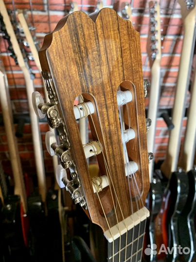 Классическая Гитара + Чехол (Испанская)