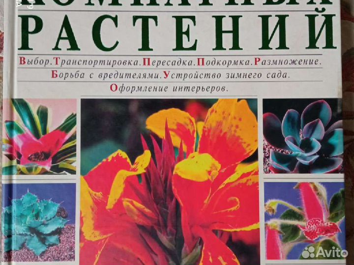 Новейшая энциклопедия комнатных растений