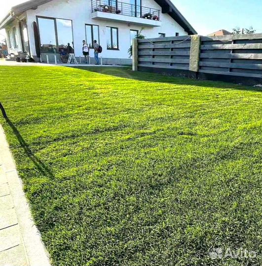 Рулонный газон