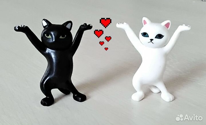 Танцующие котики