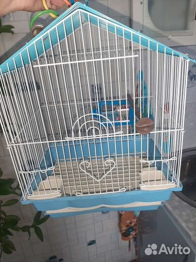 Вольер для попугая