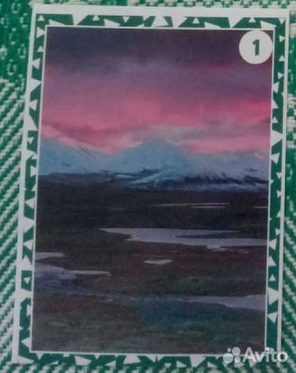 Наклейки живая планета