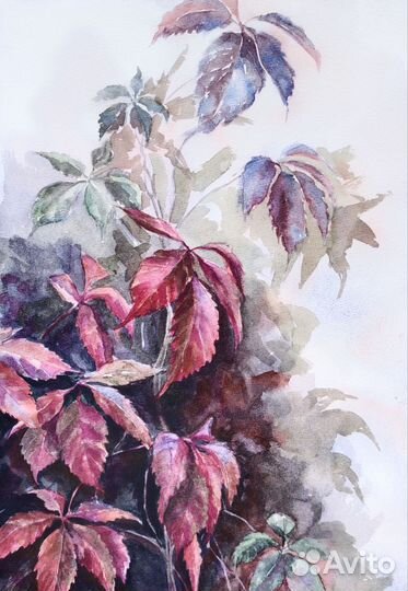 Картина акварелью 