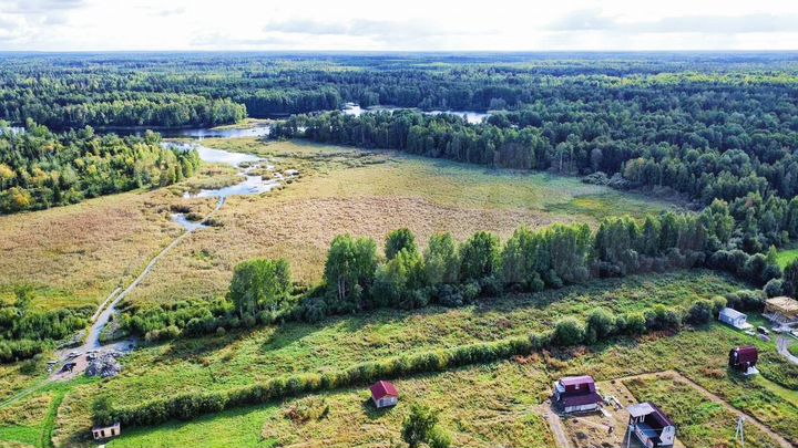 Участок 10 сот. (СНТ, ДНП)