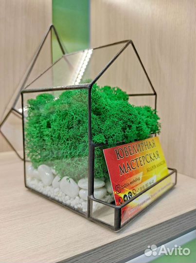 Флорариум со мхом