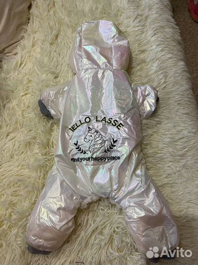 Комбинезон для маленькой собаки