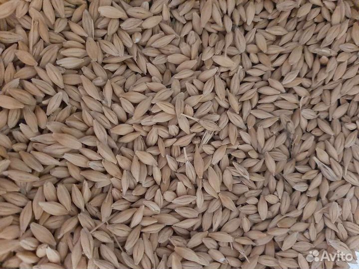 Комбикорм пшеница