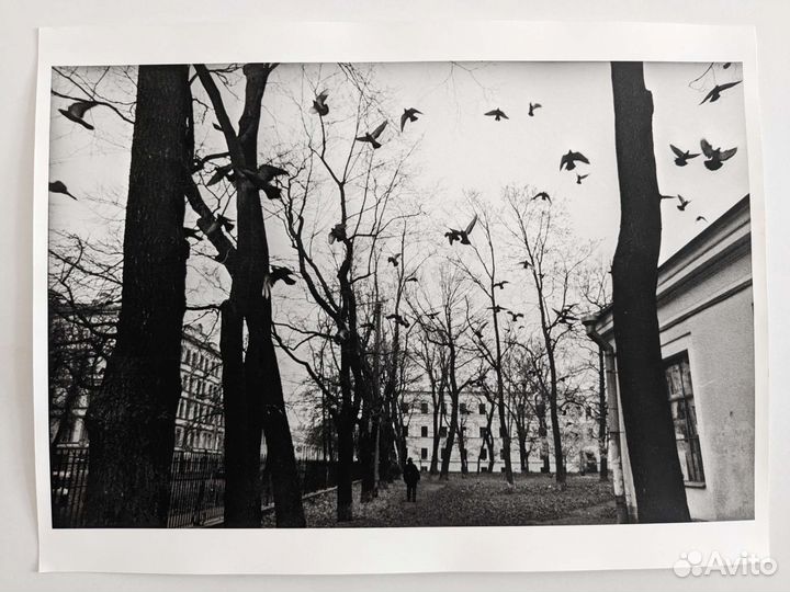 Авторская фотография