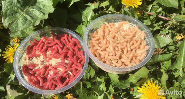 Червь для рыбалки