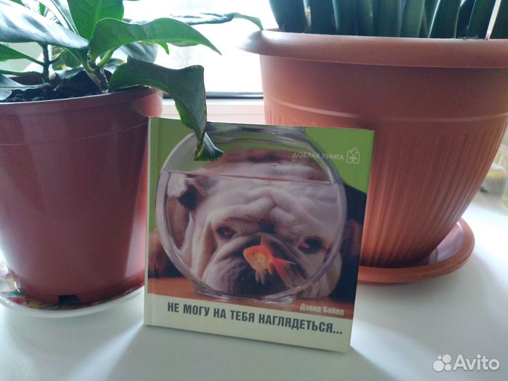 Книга о любви в картинках